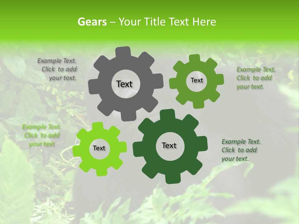 Virunga Gorilla Face Gorilla PowerPoint Template