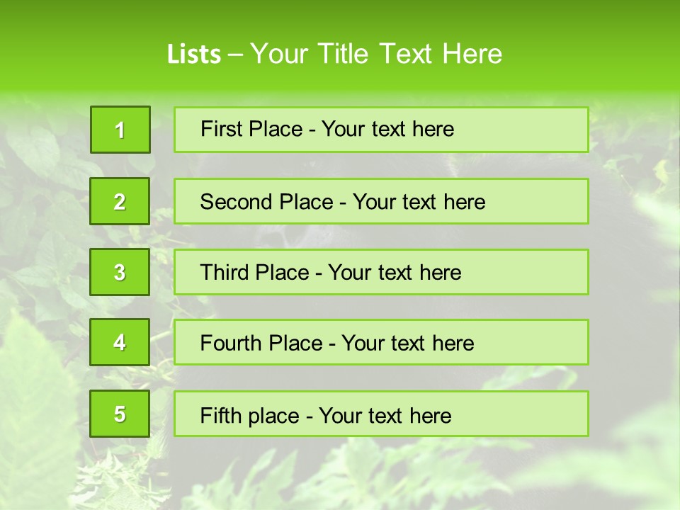Virunga Gorilla Face Gorilla PowerPoint Template