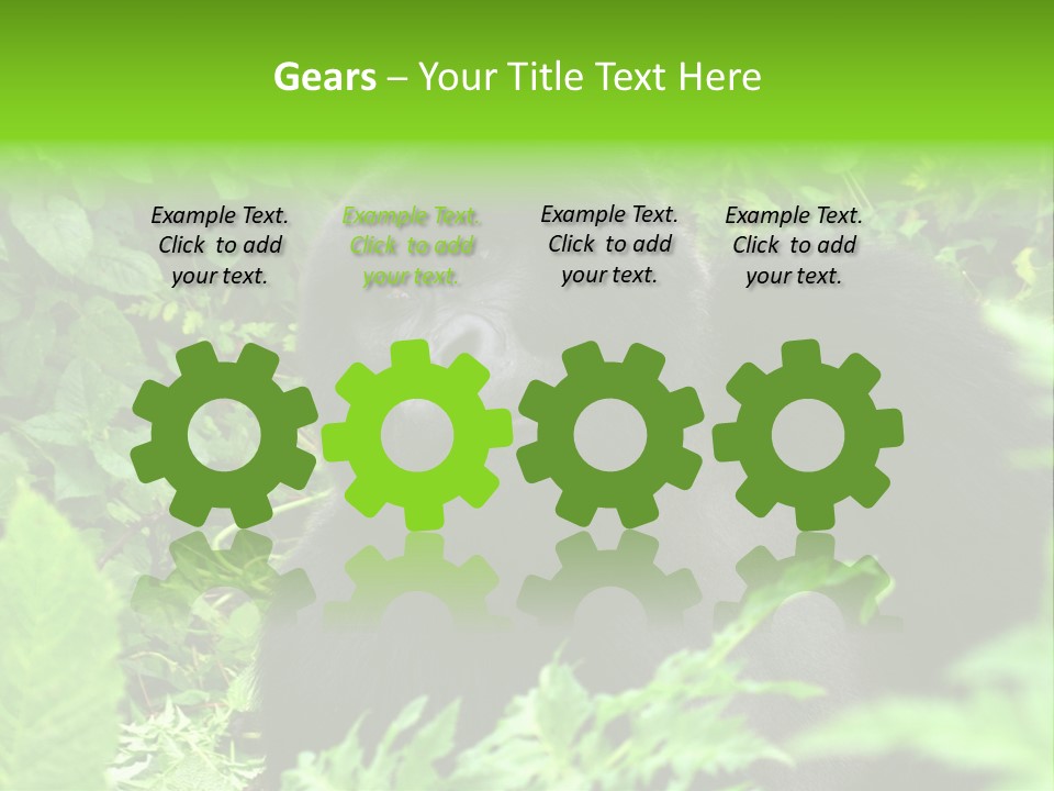 Virunga Gorilla Face Gorilla PowerPoint Template