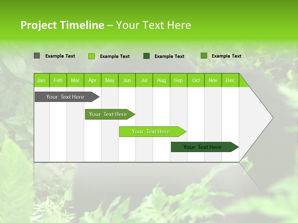 Virunga Gorilla Face Gorilla PowerPoint Template