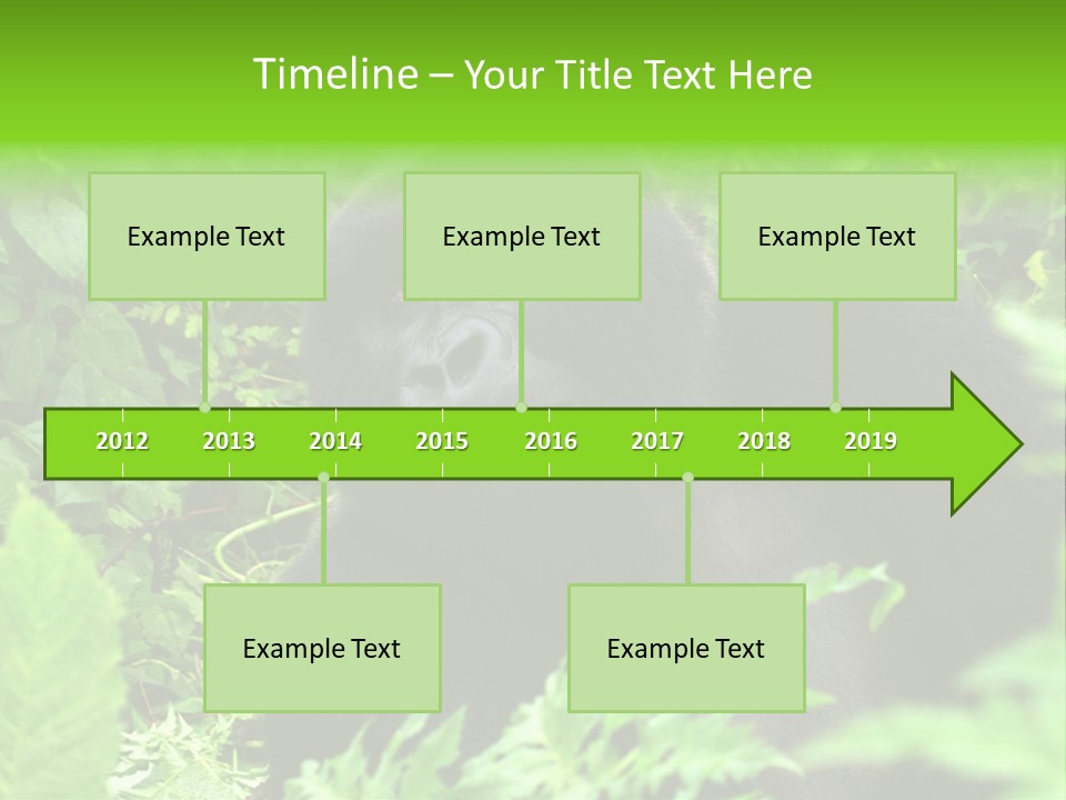 Virunga Gorilla Face Gorilla PowerPoint Template