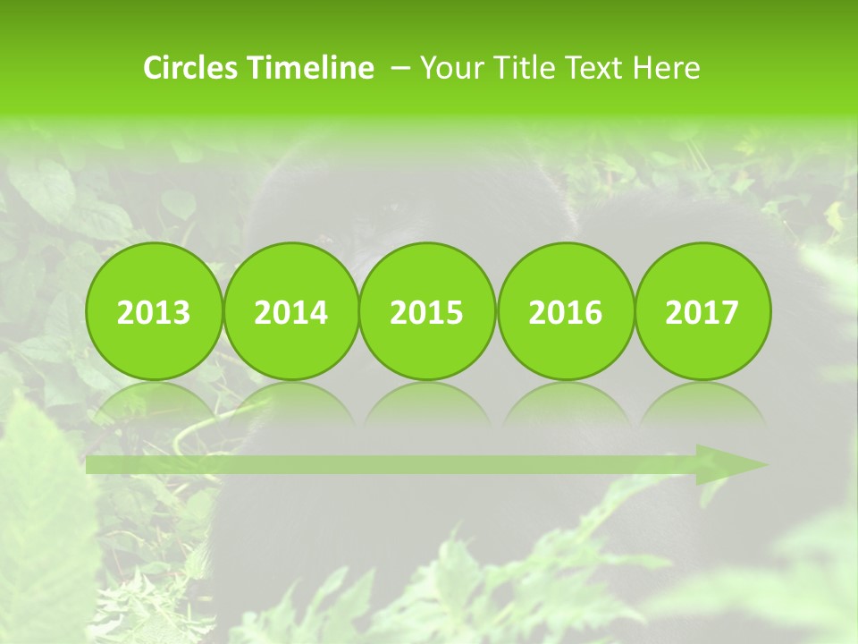 Virunga Gorilla Face Gorilla PowerPoint Template