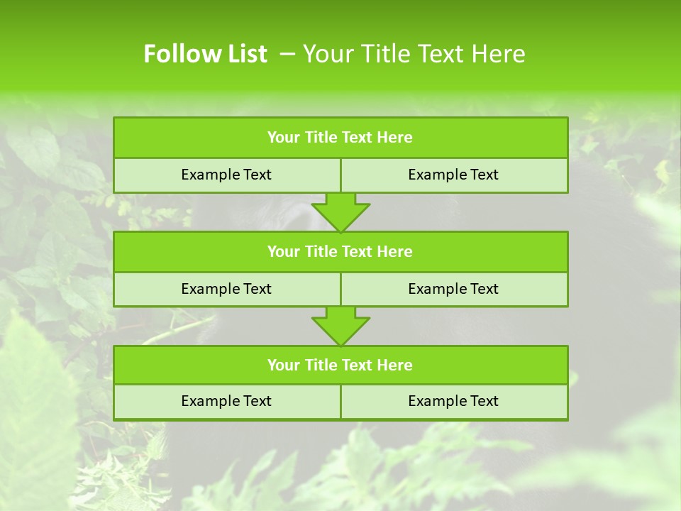 Virunga Gorilla Face Gorilla PowerPoint Template