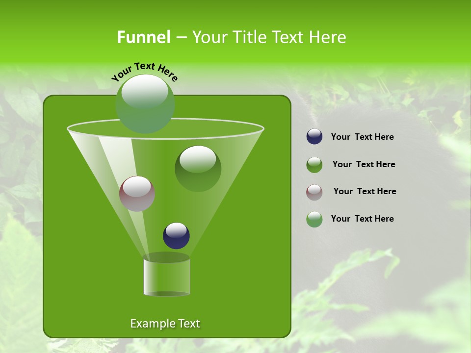 Virunga Gorilla Face Gorilla PowerPoint Template