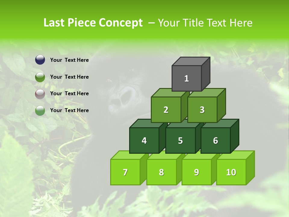 Virunga Gorilla Face Gorilla PowerPoint Template