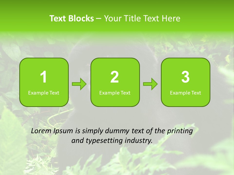 Virunga Gorilla Face Gorilla PowerPoint Template