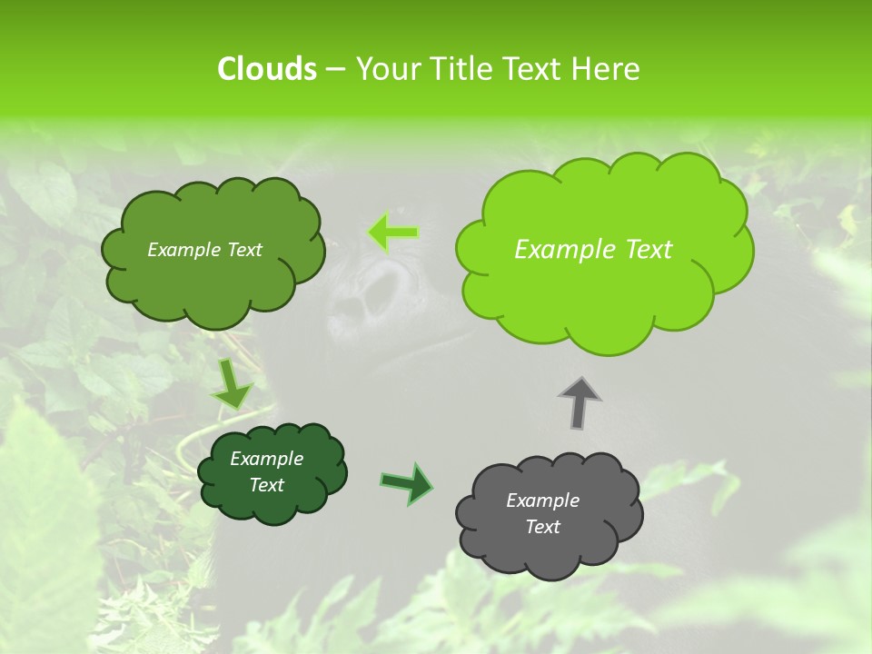 Virunga Gorilla Face Gorilla PowerPoint Template