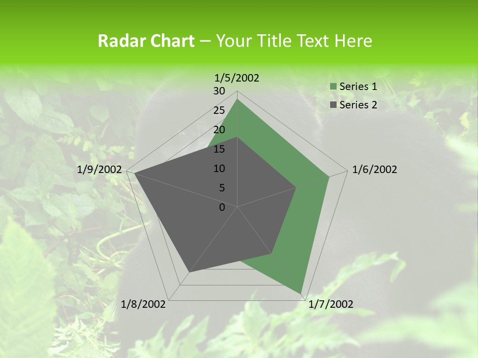 Virunga Gorilla Face Gorilla PowerPoint Template
