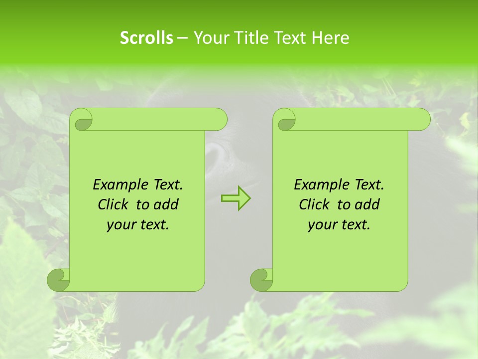 Virunga Gorilla Face Gorilla PowerPoint Template