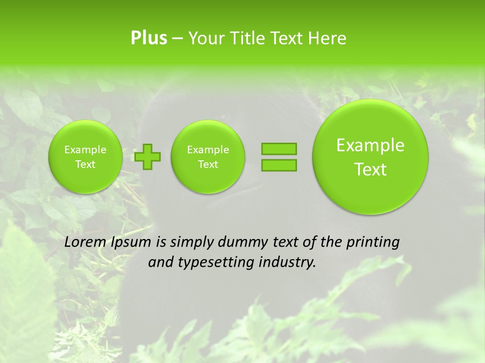 Virunga Gorilla Face Gorilla PowerPoint Template