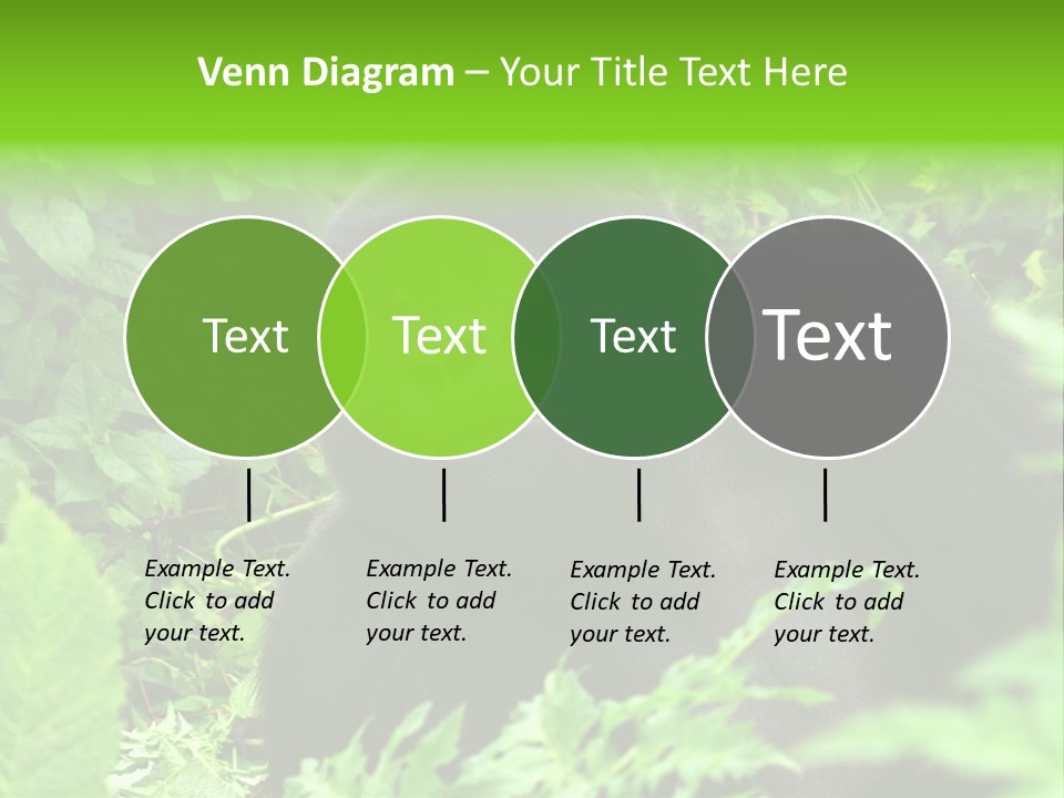 Virunga Gorilla Face Gorilla PowerPoint Template