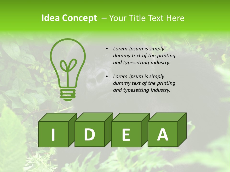 Virunga Gorilla Face Gorilla PowerPoint Template