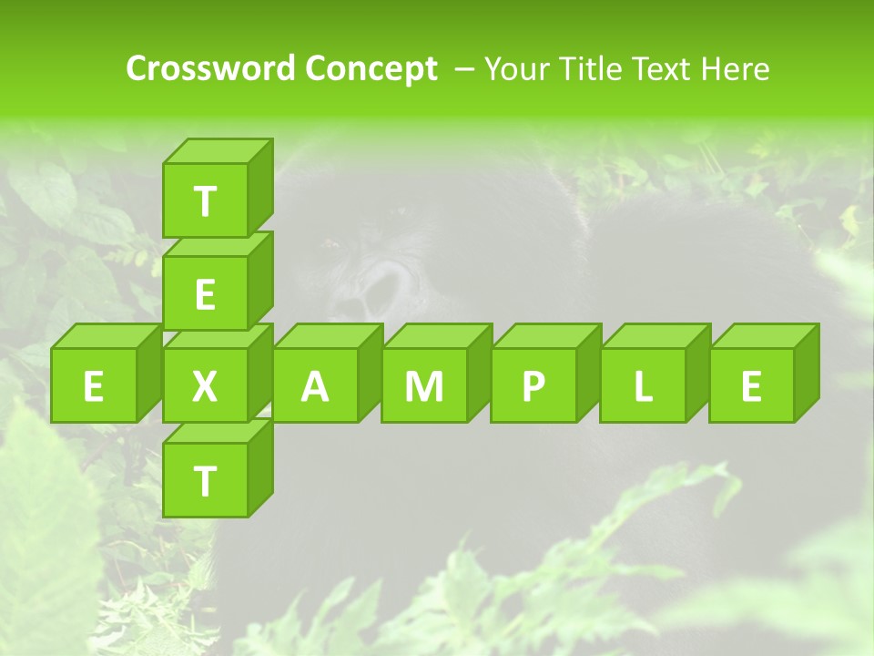 Virunga Gorilla Face Gorilla PowerPoint Template