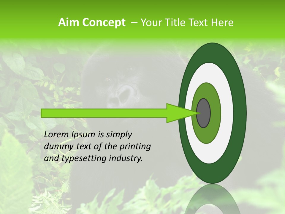 Virunga Gorilla Face Gorilla PowerPoint Template