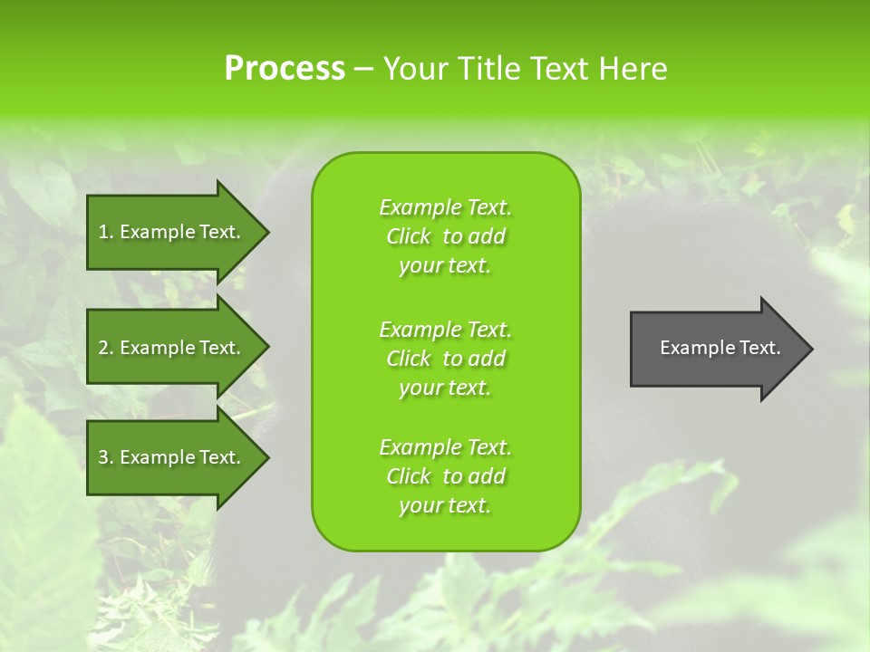 Virunga Gorilla Face Gorilla PowerPoint Template