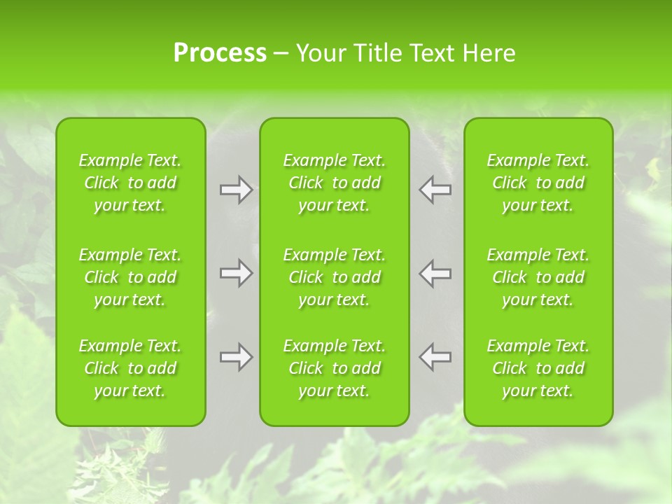 Virunga Gorilla Face Gorilla PowerPoint Template