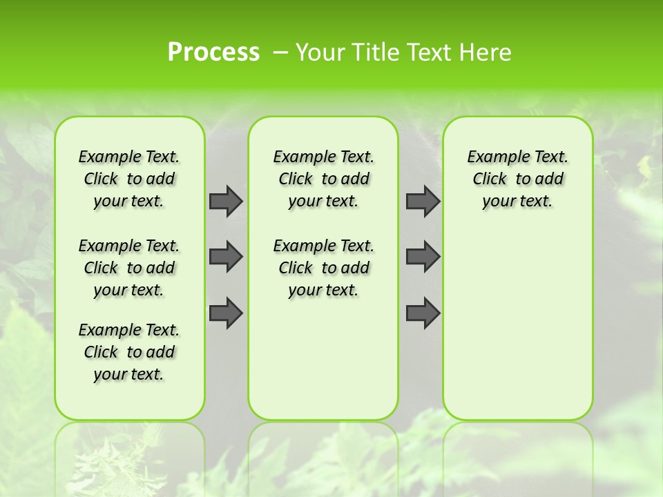 Virunga Gorilla Face Gorilla PowerPoint Template