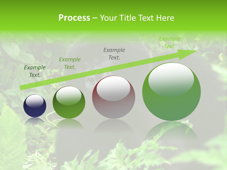 Virunga Gorilla Face Gorilla PowerPoint Template