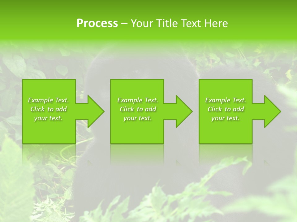 Virunga Gorilla Face Gorilla PowerPoint Template