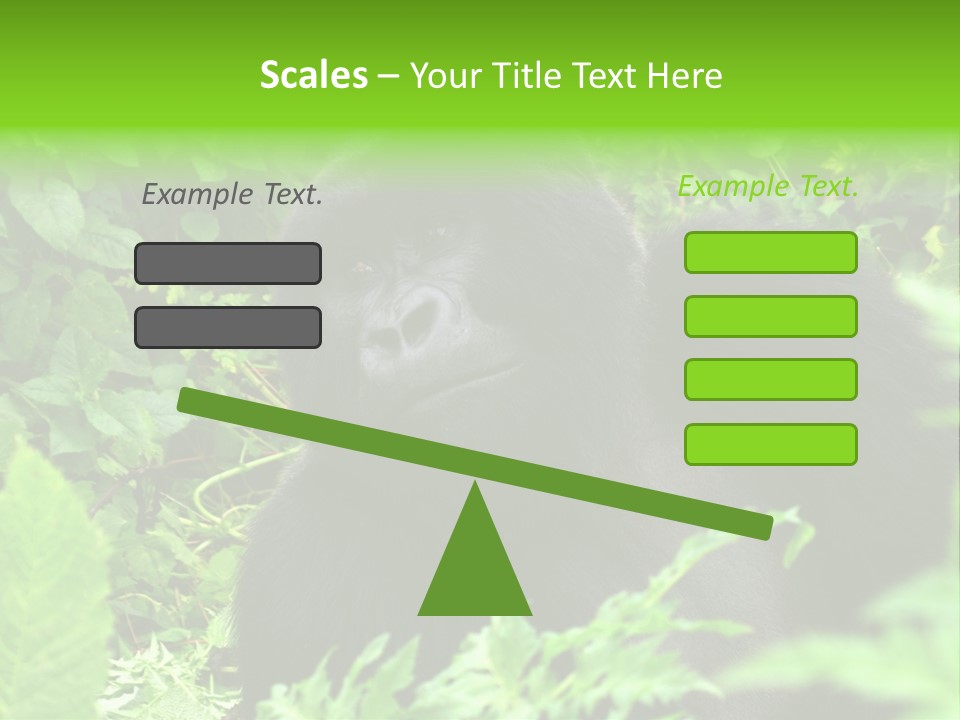 Virunga Gorilla Face Gorilla PowerPoint Template