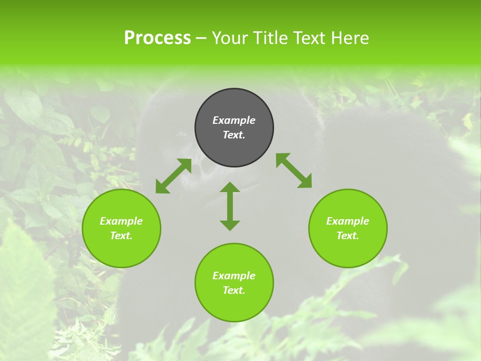 Virunga Gorilla Face Gorilla PowerPoint Template