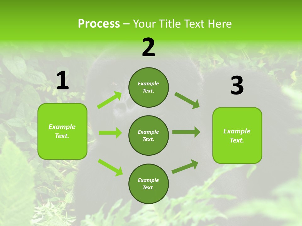 Virunga Gorilla Face Gorilla PowerPoint Template