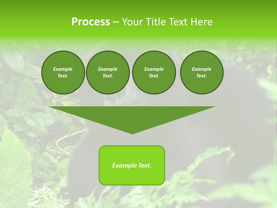 Virunga Gorilla Face Gorilla PowerPoint Template