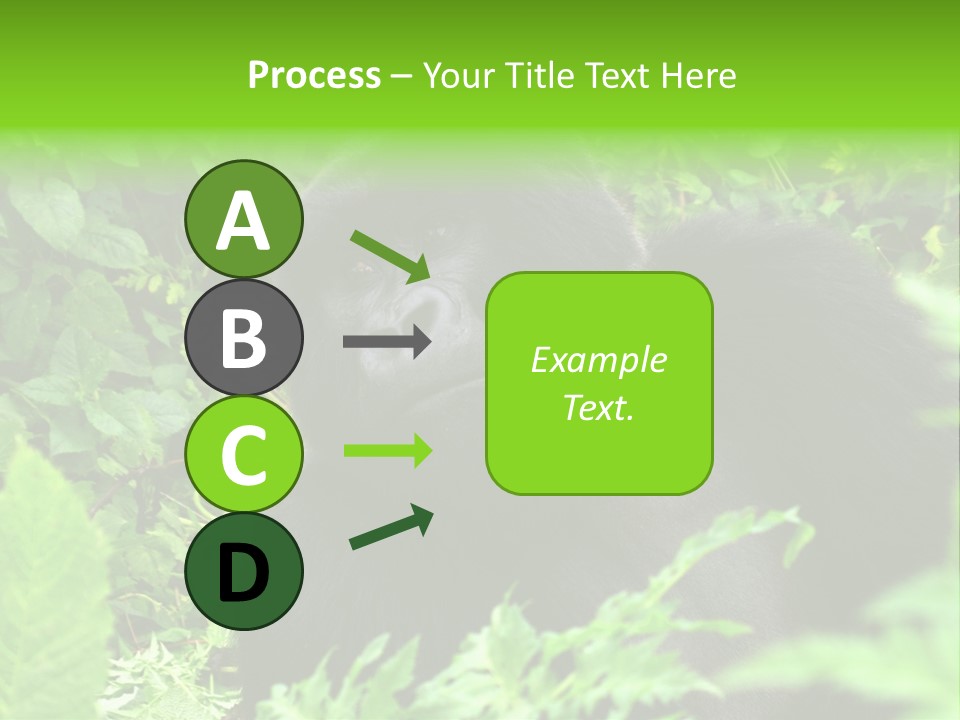 Virunga Gorilla Face Gorilla PowerPoint Template