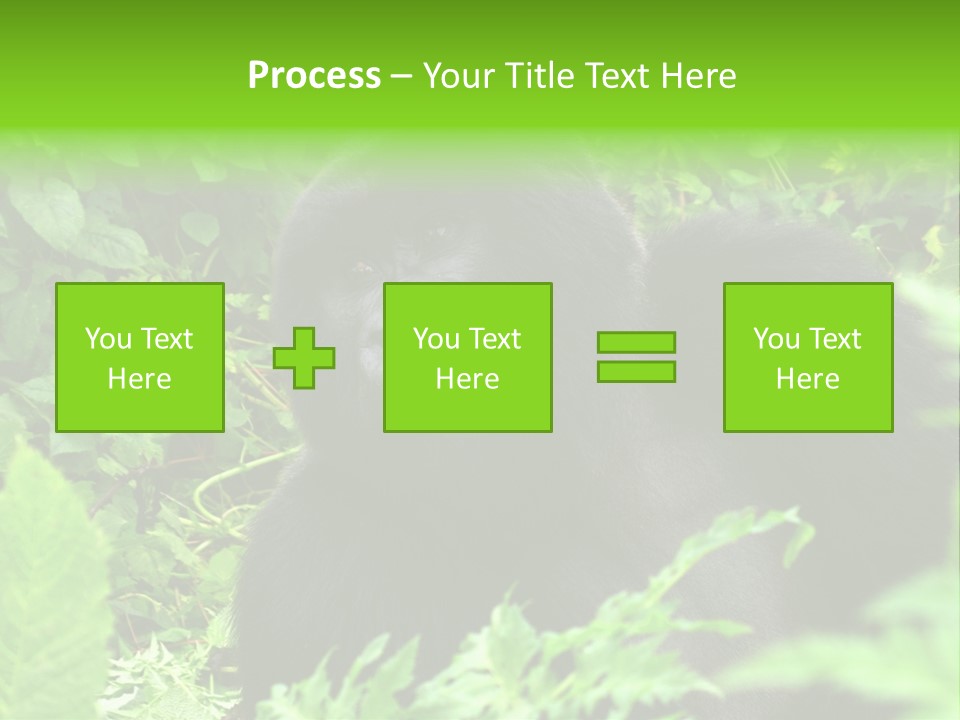 Virunga Gorilla Face Gorilla PowerPoint Template