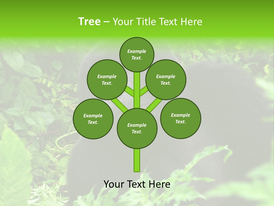 Virunga Gorilla Face Gorilla PowerPoint Template