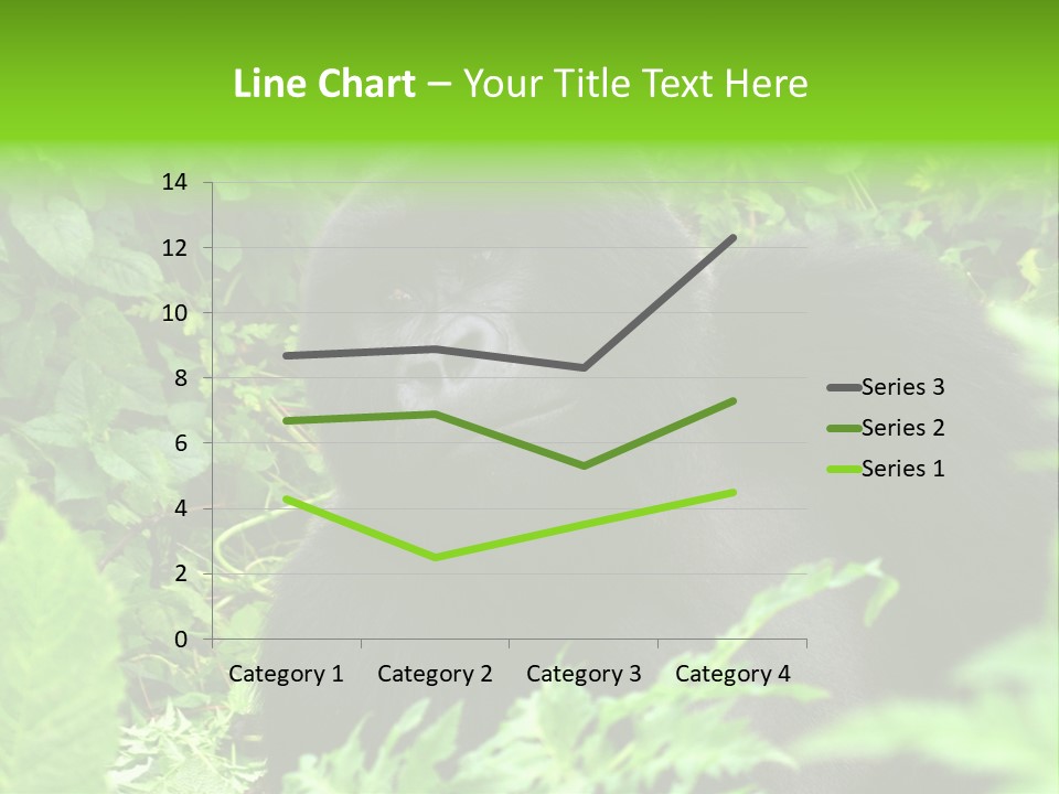 Virunga Gorilla Face Gorilla PowerPoint Template