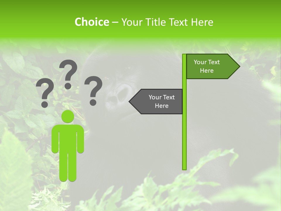 Virunga Gorilla Face Gorilla PowerPoint Template