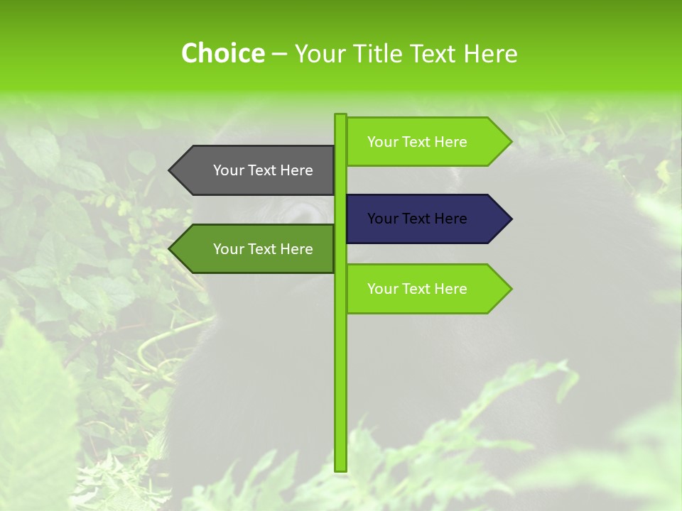 Virunga Gorilla Face Gorilla PowerPoint Template