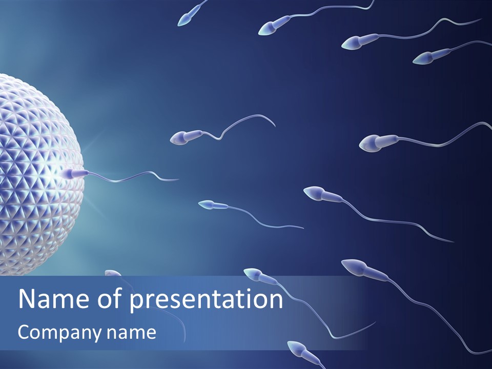 Ovule Competition Copulation PowerPoint Template