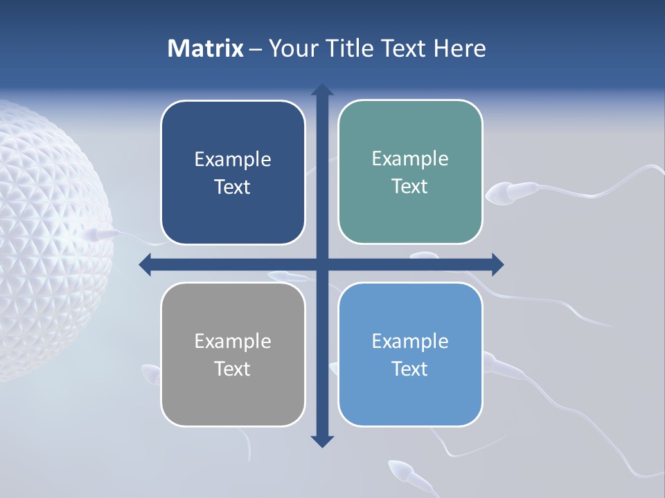 Ovule Competition Copulation PowerPoint Template