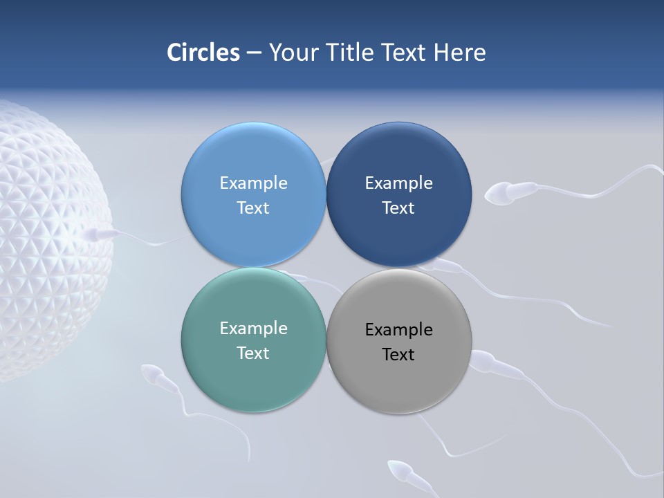Ovule Competition Copulation PowerPoint Template