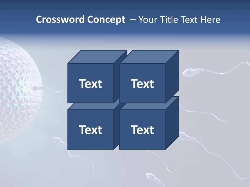 Ovule Competition Copulation PowerPoint Template