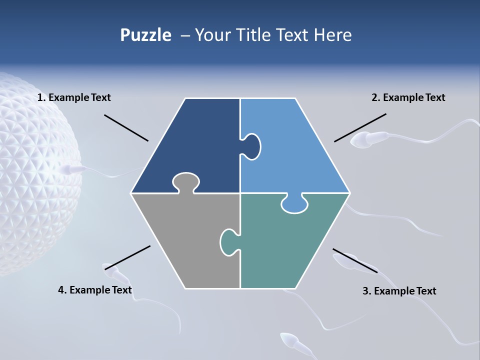 Ovule Competition Copulation PowerPoint Template
