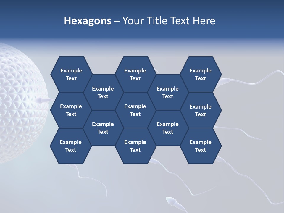 Ovule Competition Copulation PowerPoint Template