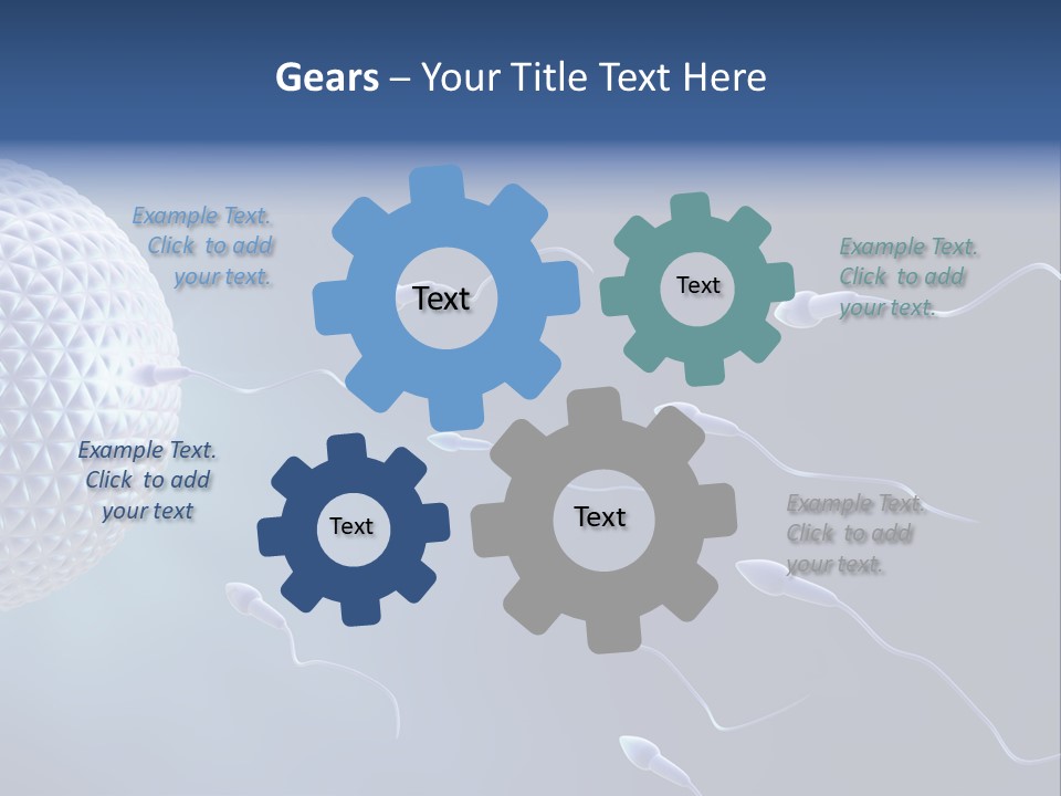 Ovule Competition Copulation PowerPoint Template