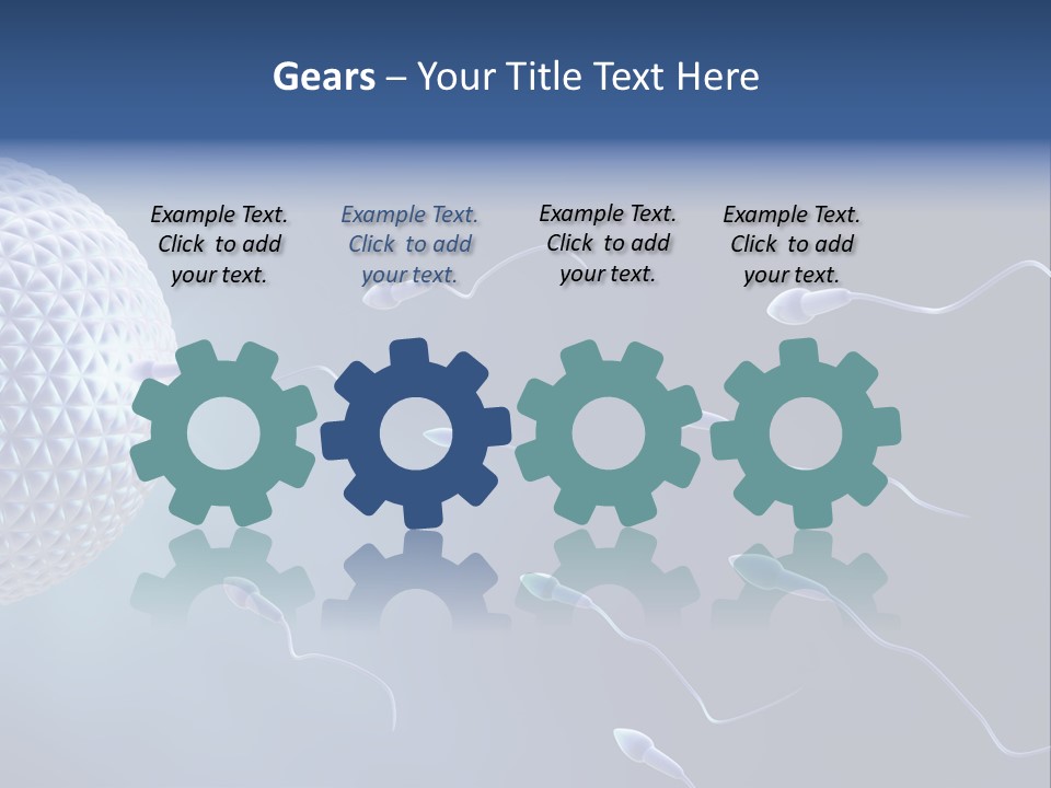 Ovule Competition Copulation PowerPoint Template