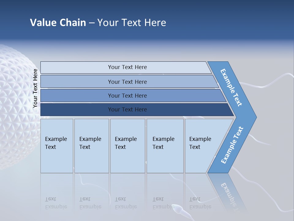 Ovule Competition Copulation PowerPoint Template