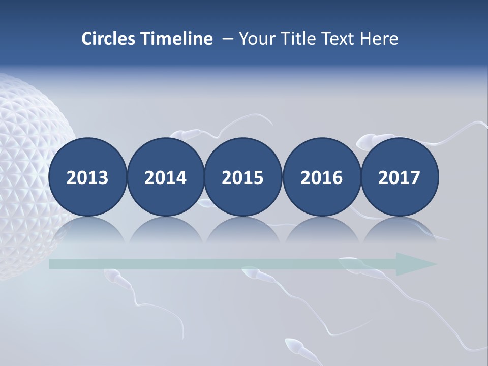 Ovule Competition Copulation PowerPoint Template