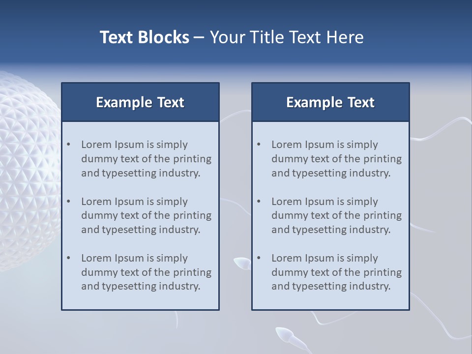 Ovule Competition Copulation PowerPoint Template