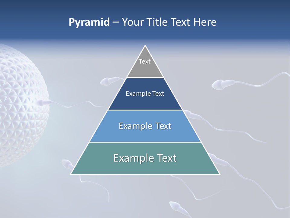 Ovule Competition Copulation PowerPoint Template