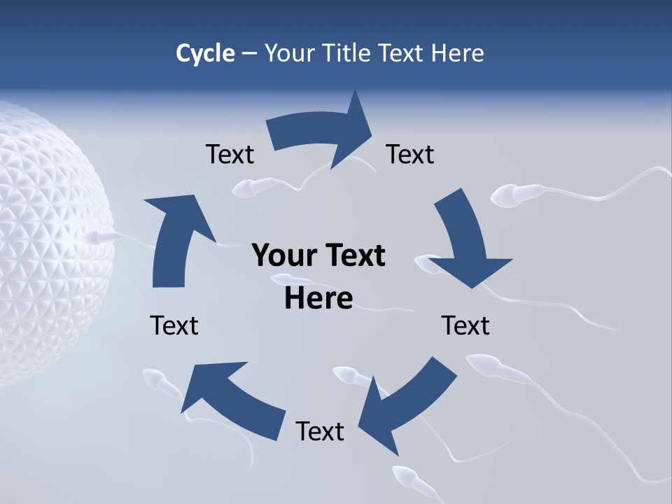 Ovule Competition Copulation PowerPoint Template