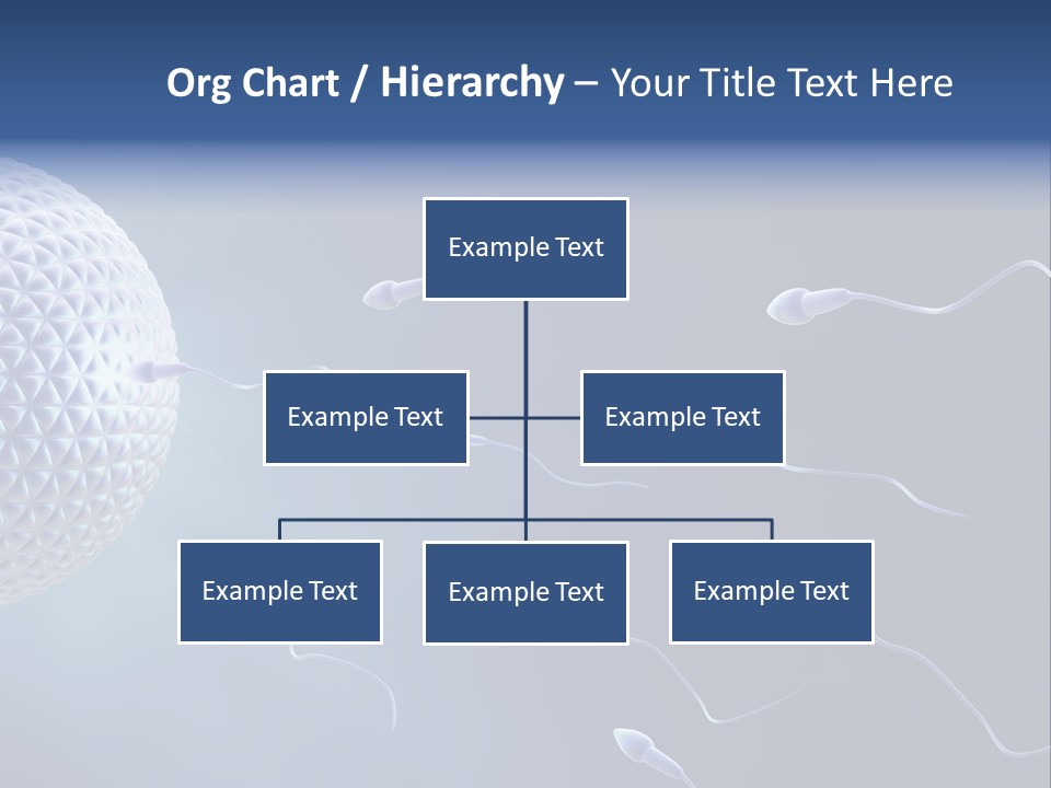Ovule Competition Copulation PowerPoint Template