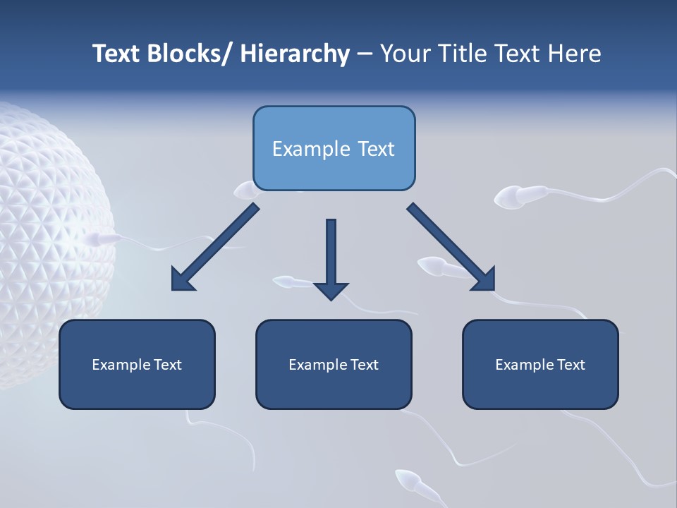 Ovule Competition Copulation PowerPoint Template