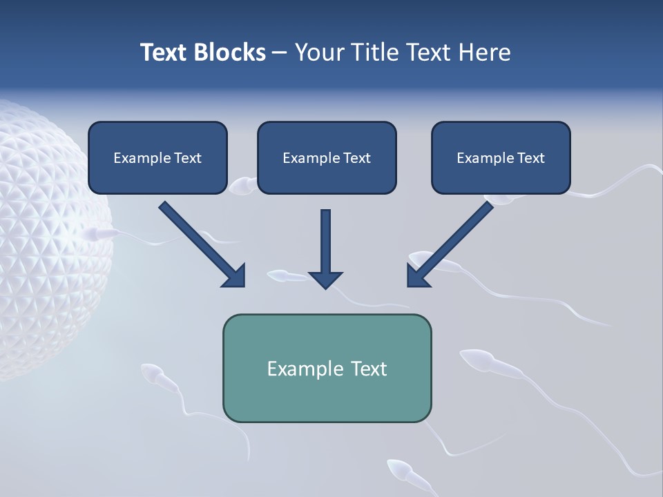 Ovule Competition Copulation PowerPoint Template