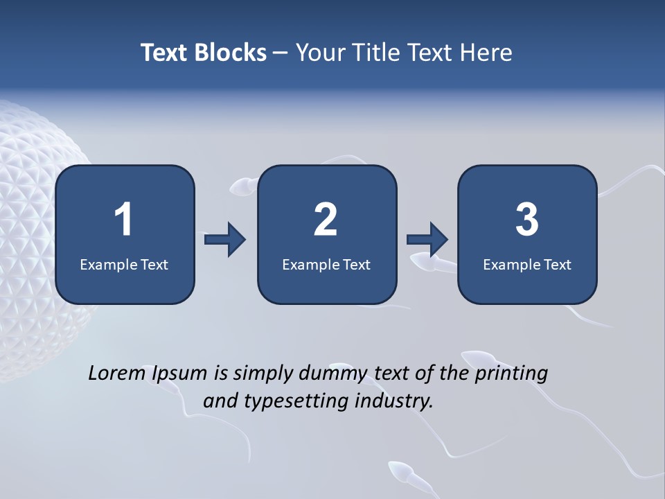 Ovule Competition Copulation PowerPoint Template